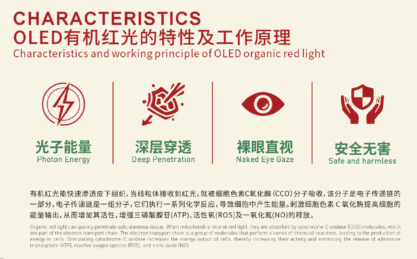 图片4 图片4