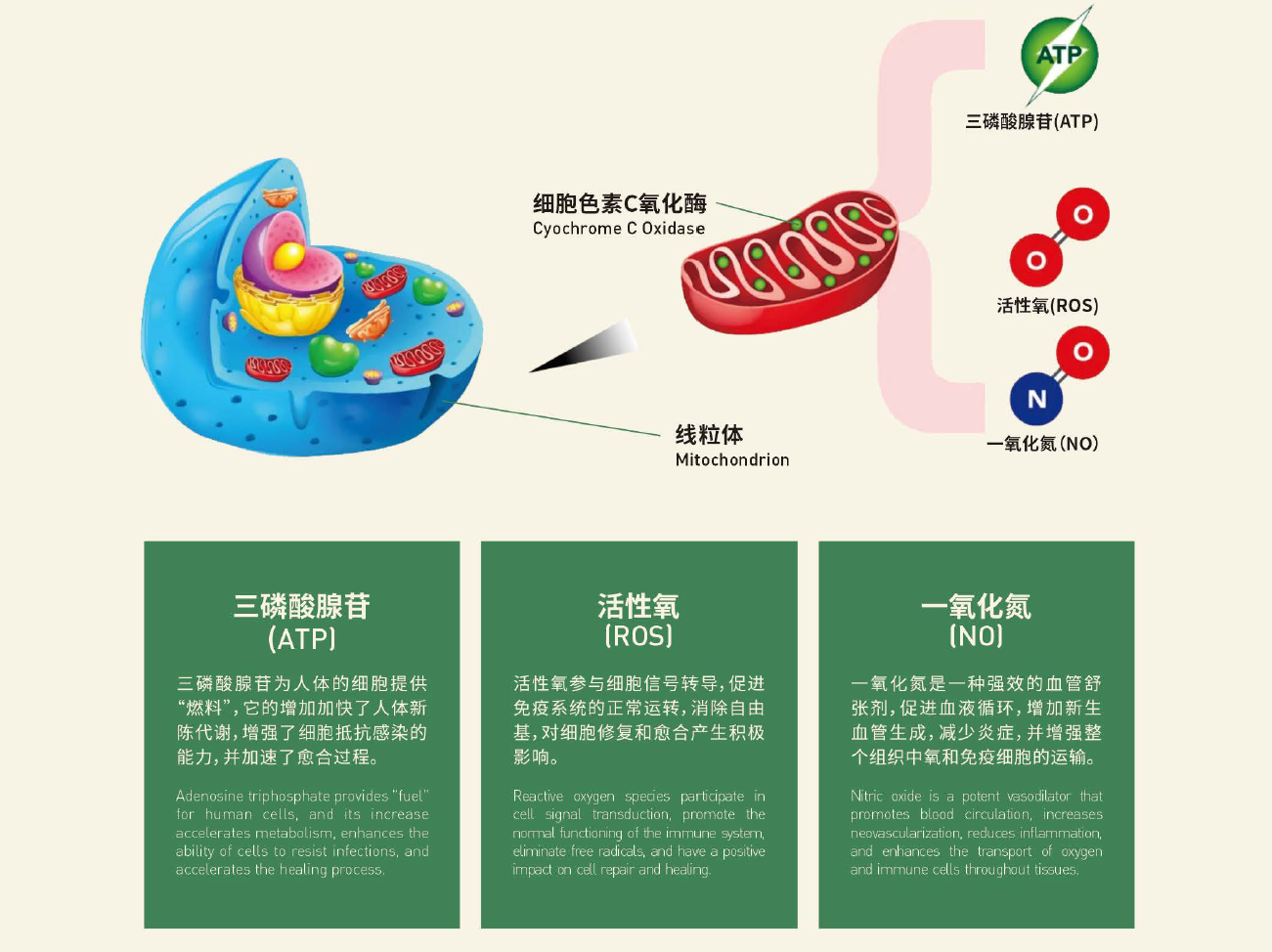 图片5 图片5